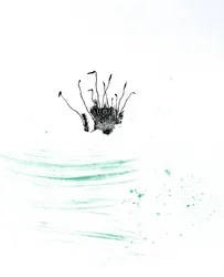 Moos {Fay-erie Dust}
